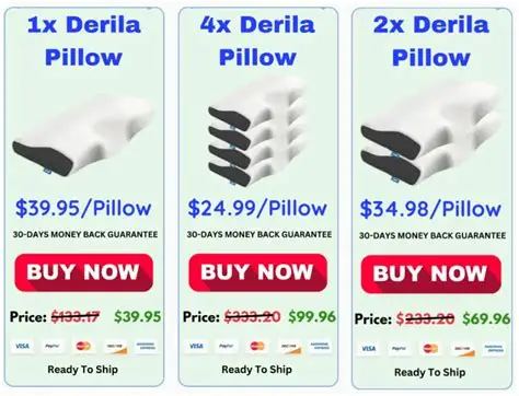Derila Pillow best price